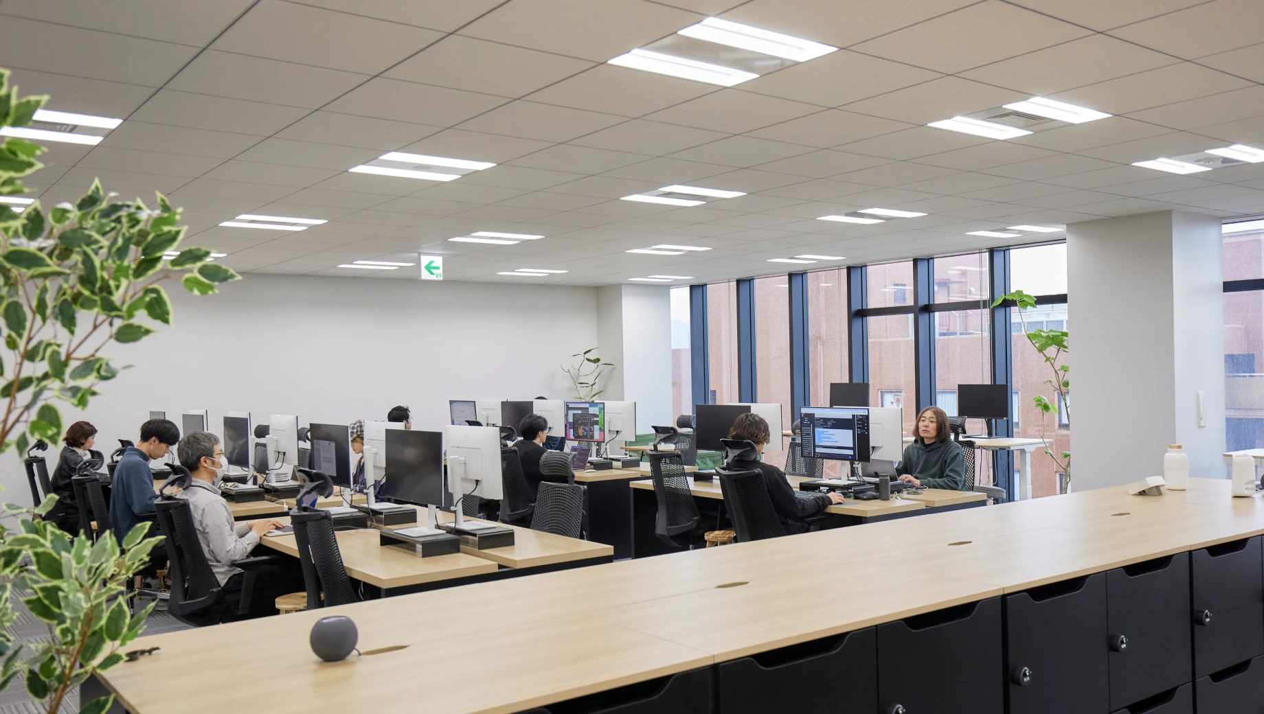 ワークエリア全体と自然光が注ぐ窓